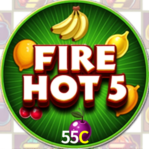 Security Systems 55C